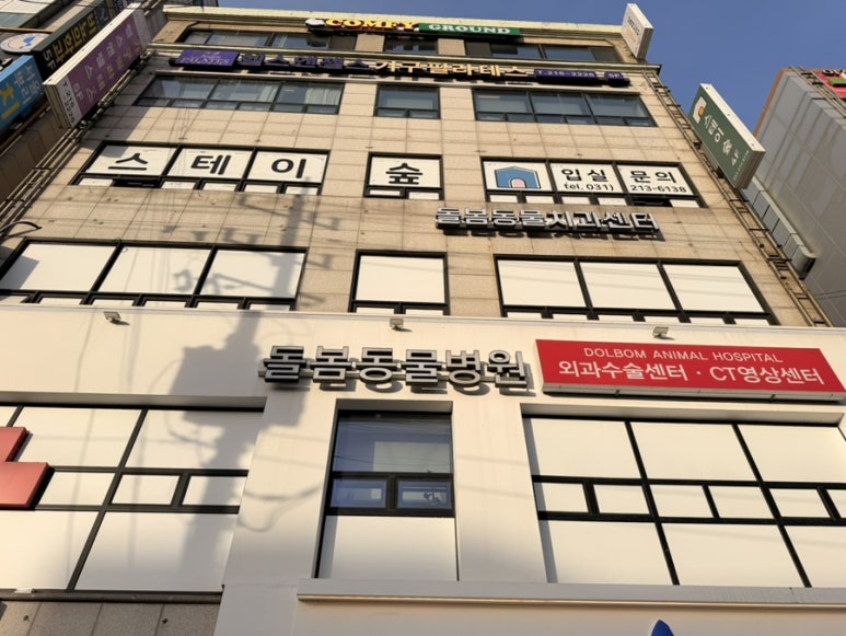 강아지 수원 강아지 건강검진: 돌봄동물병원 수술 전문성 후기