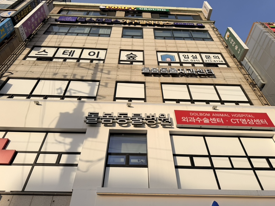 수원 강아지 건강검진: 돌봄동물병원 수술 전문성 후기
