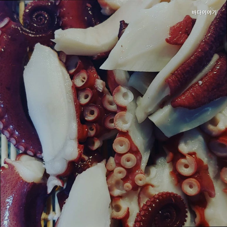 바다이야기 사진 8