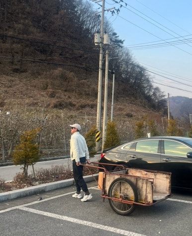 단양남천캠핑장 이미지