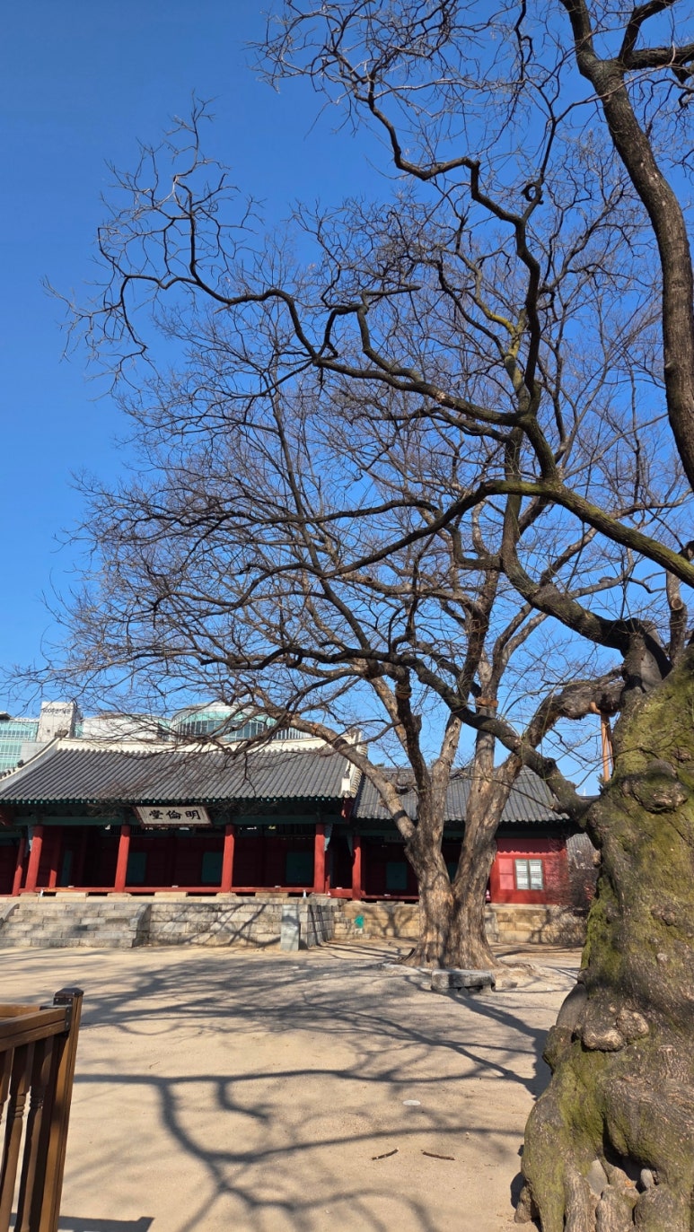 명륜진사갈비 서울성균관대점 사진 5