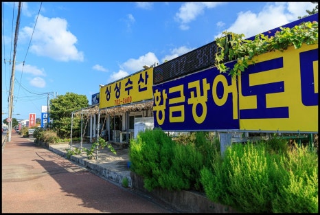 수산연구소 대표 사진