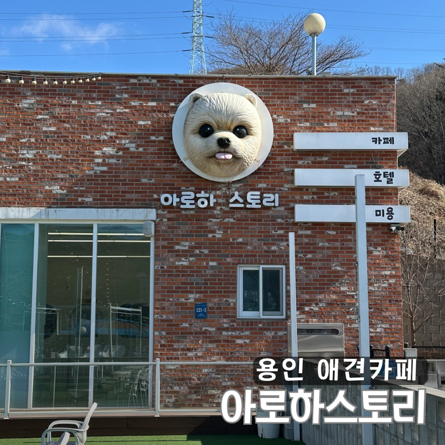 용인 대형 애견카페 아로하스토리: 유치원·미용·호텔까지 — 사진 1