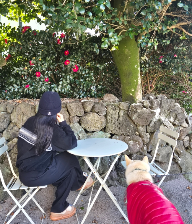 시간의정원 대표 사진