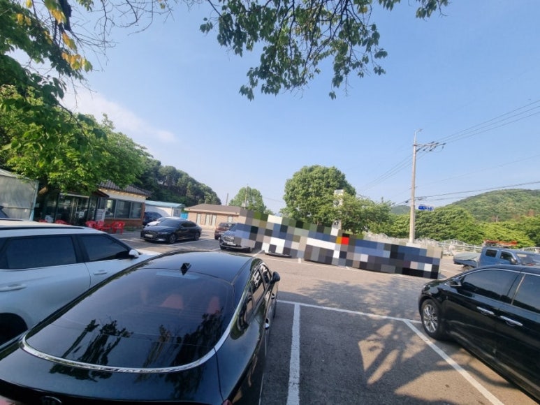 고향나들이 사진 2