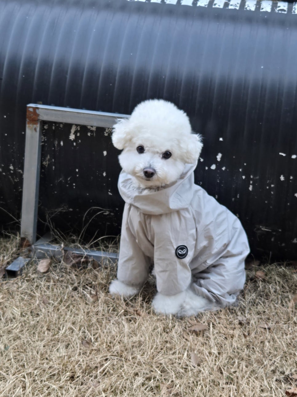 파주 운정 애견카페 쟈빠따 도그, 넓은 운동장 후기 — 사진 9
