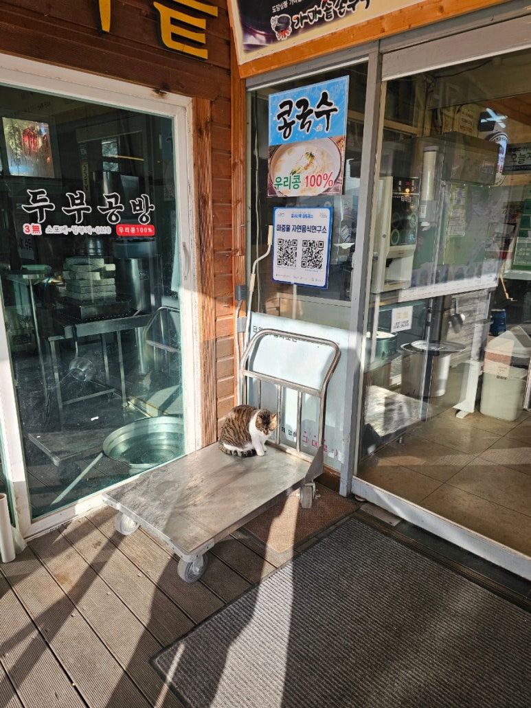 도담삼봉가마솥손두부 이미지