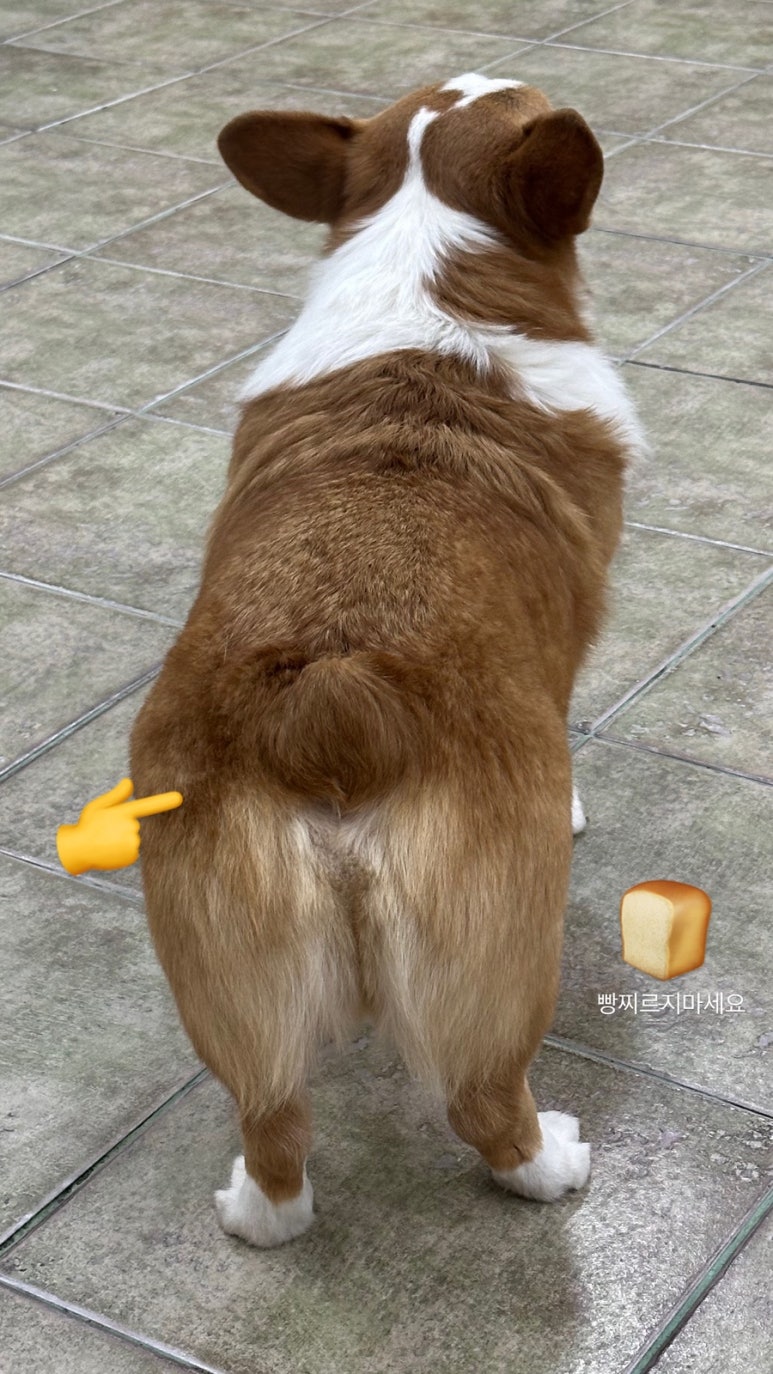 써니네 사진 2