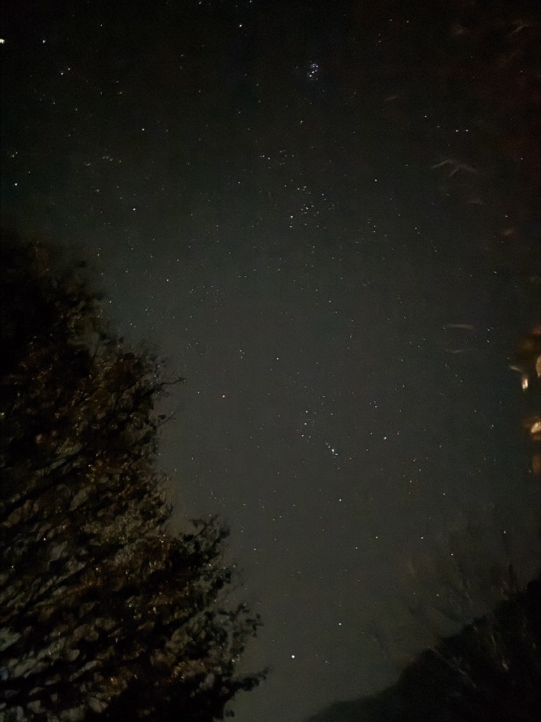 단양남천캠핑장 이미지