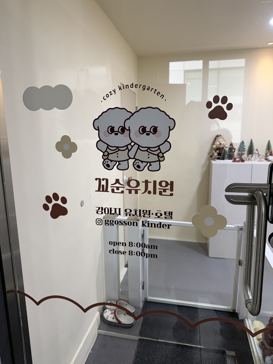 송파 애견유치원 꼬순유치원, 당일 예약 후기 및 비용 — 사진 6