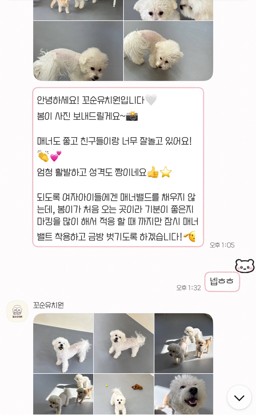 송파 애견유치원 꼬순유치원, 당일 예약 후기 및 비용 — 사진 11