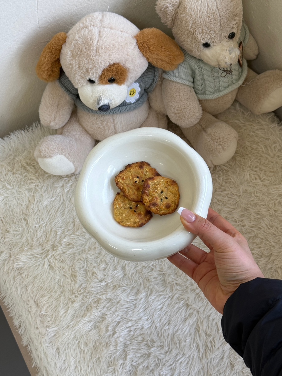 송파 애견유치원 꼬순유치원, 당일 예약 후기 및 비용 — 사진 12