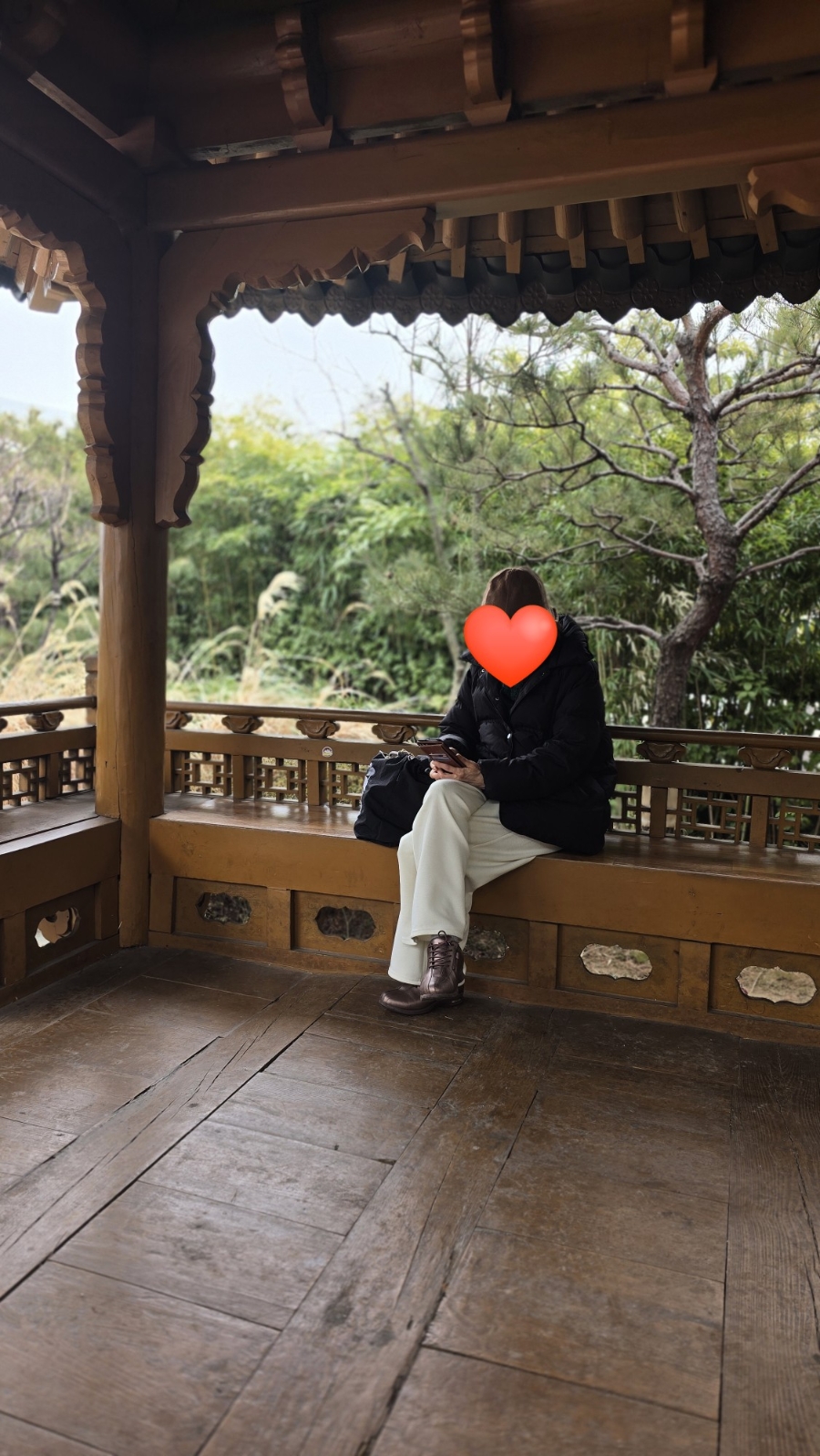 솔밭사이로 사진 5