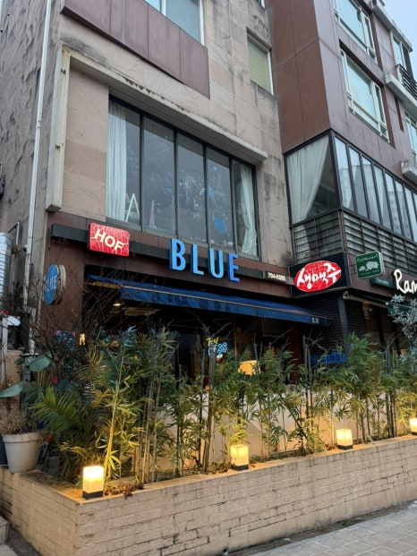 블루 사진 8