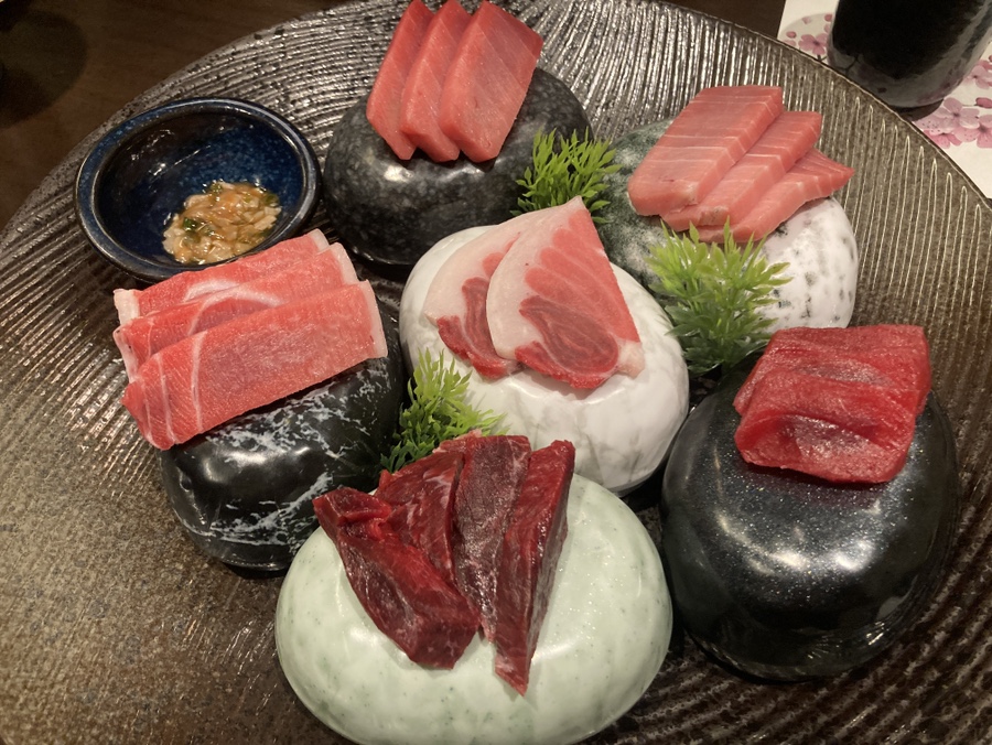 우미참치 사진 7