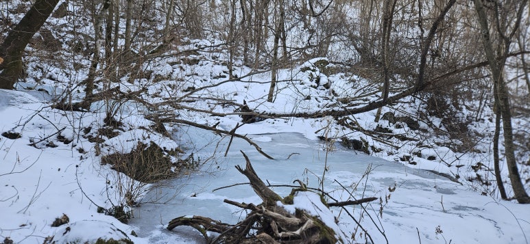 어의곡탐방지원센타 이미지