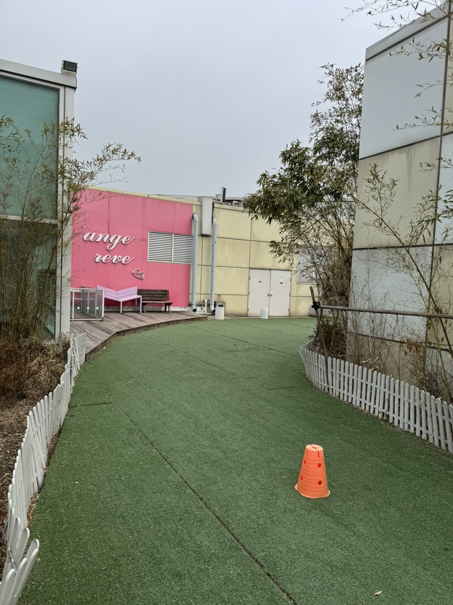 부천 앙쥬레브 애견호텔&유치원: 가격 및 시설 후기 — 사진 9