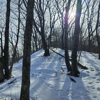 어의곡탐방지원센타 이미지