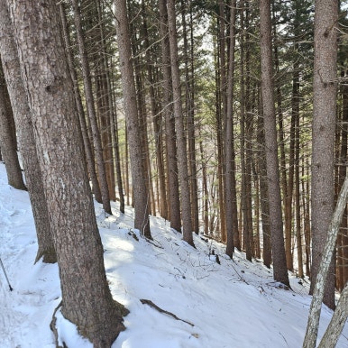 어의곡탐방지원센타 이미지