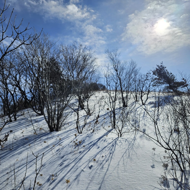어의곡탐방지원센타 이미지