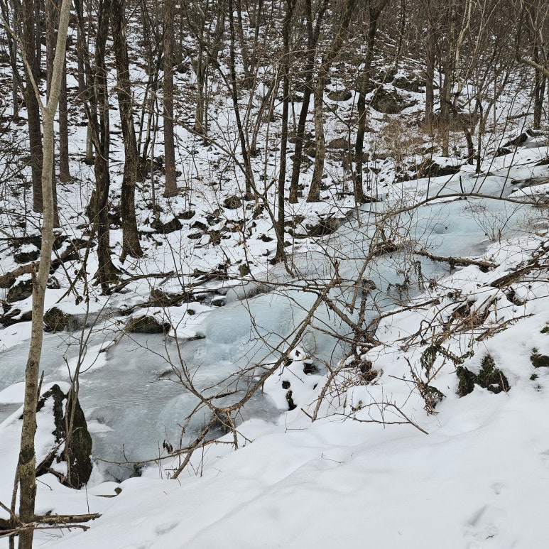 어의곡탐방지원센타 이미지