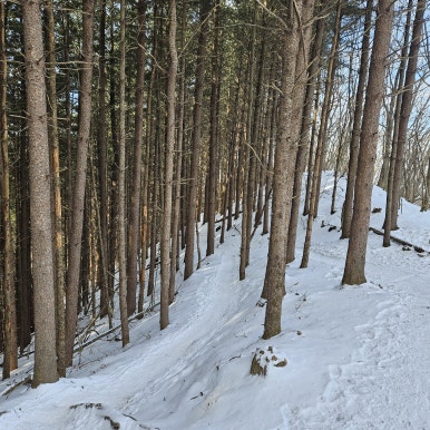 어의곡탐방지원센타 이미지