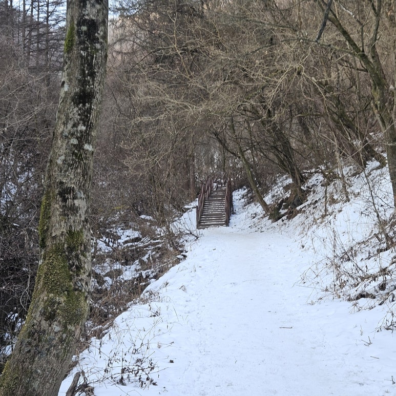 어의곡탐방지원센타 이미지