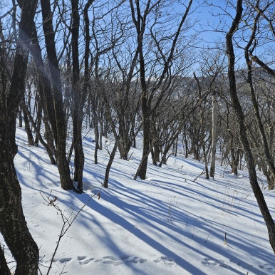 어의곡탐방지원센타 이미지