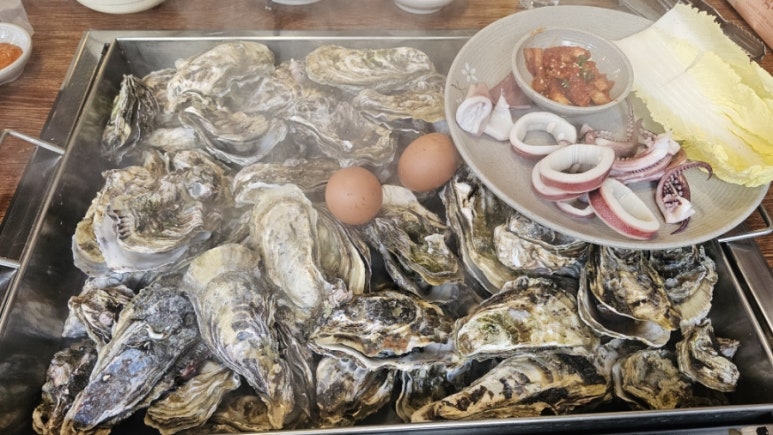 통굴통굴 사진 6