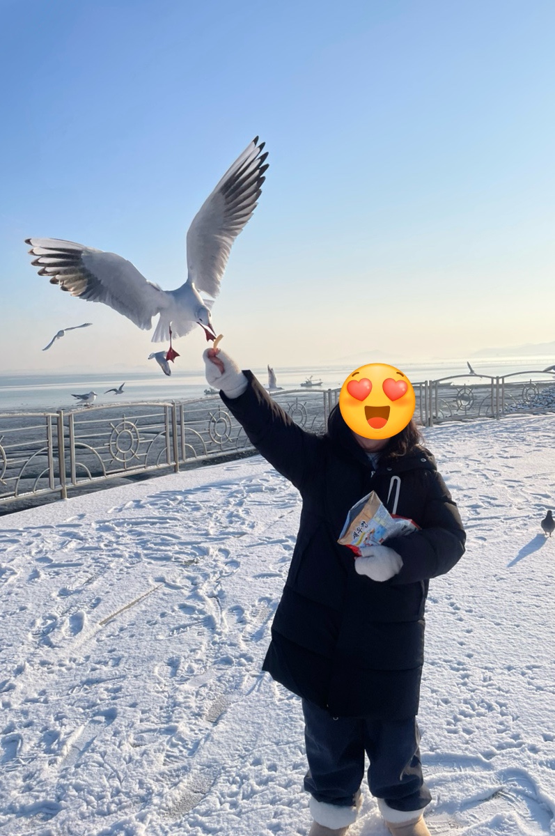 요리왕 사진