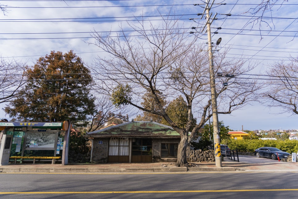 쿠키정류장 사진 5