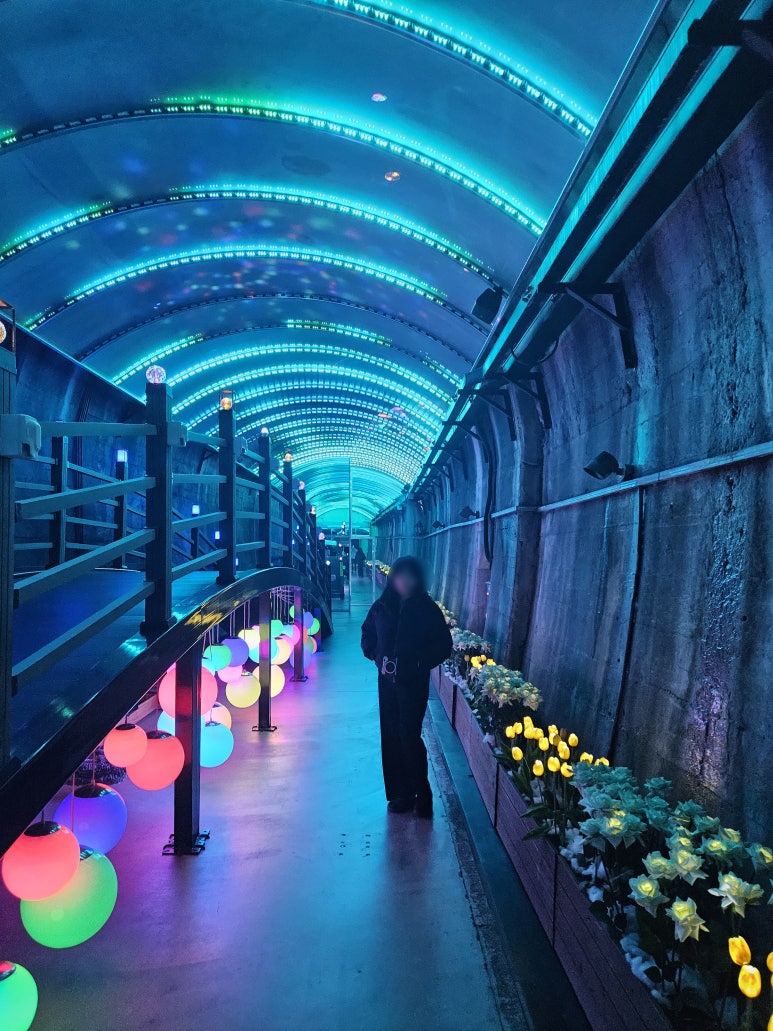 수양개빛터널 이미지