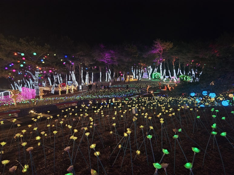 수양개빛터널 이미지