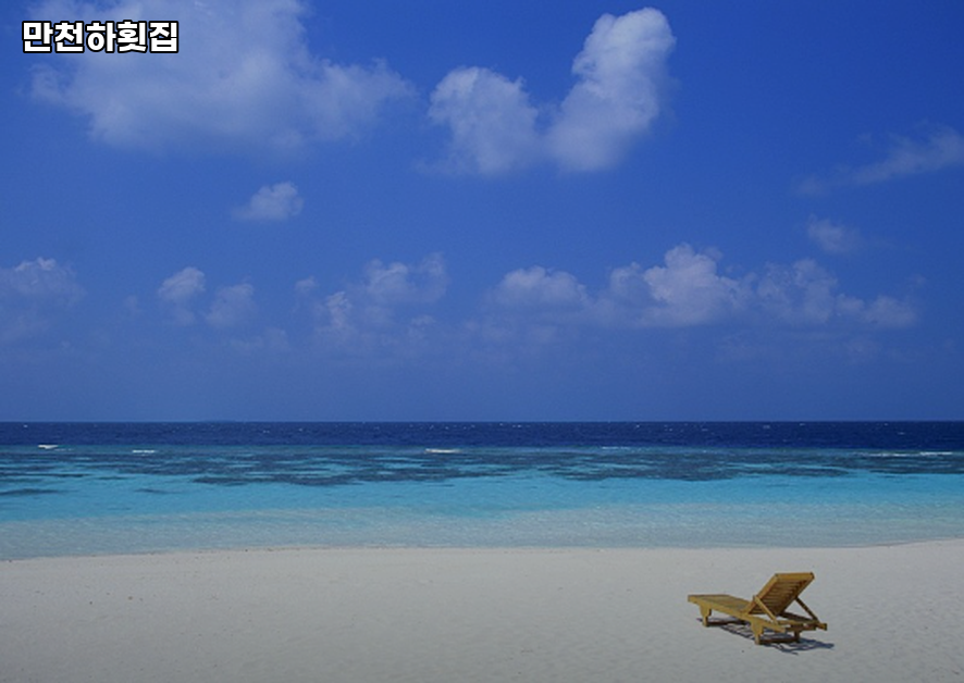 만천하횟집 사진 8