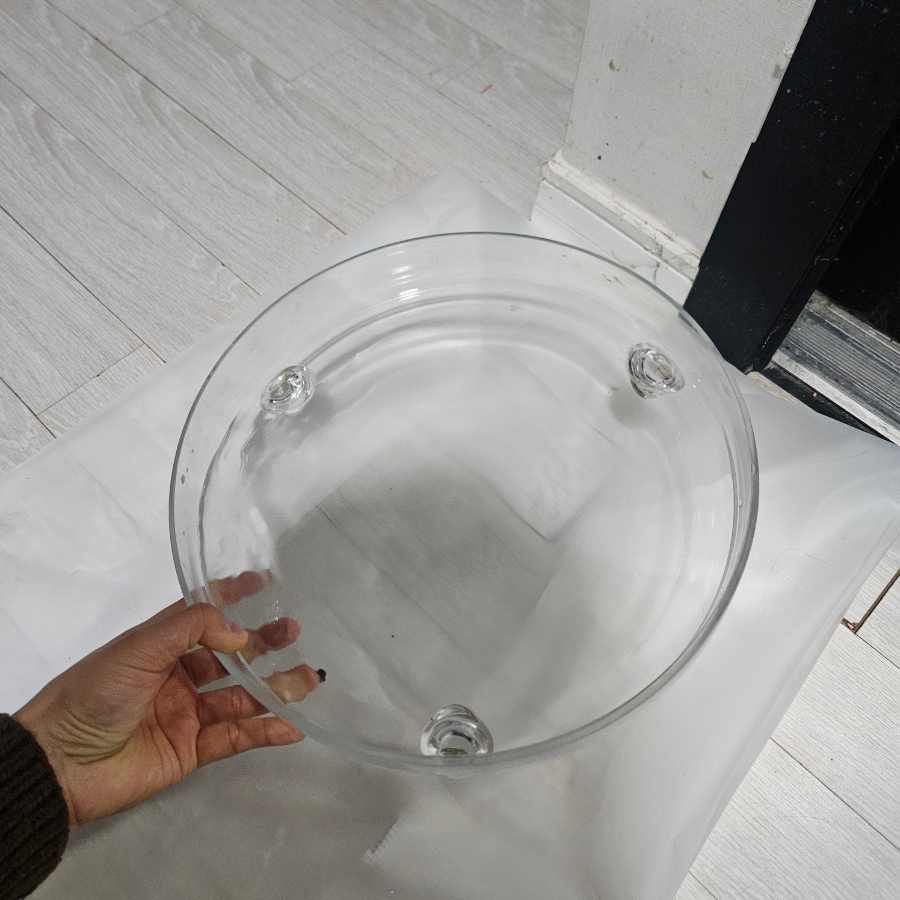 인천 부평 강아지 유치원 비용 및 프로그램 안내 — 사진 4