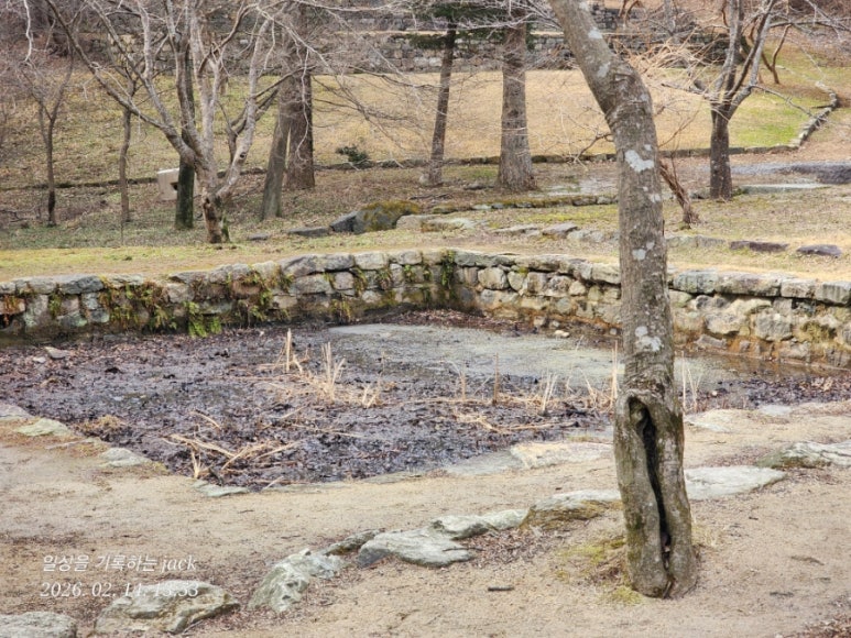 Naesosa