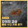 서초 강아지 물림 사고, VIP동물의료센터 교상 치료 후기