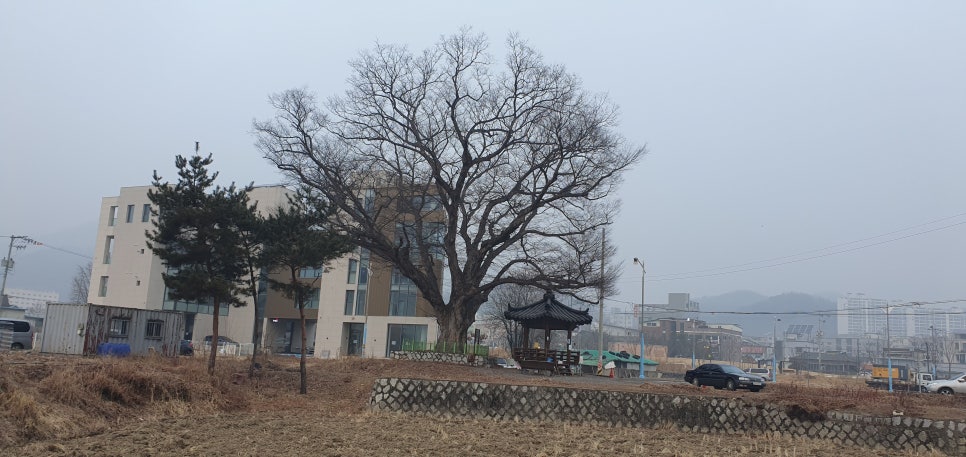 문안골 사진 5