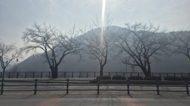 단양모아 이미지