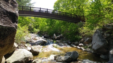 국립황정산자연휴양림 이미지