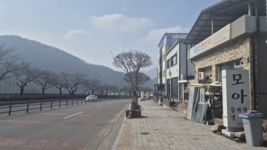 단양모아 이미지