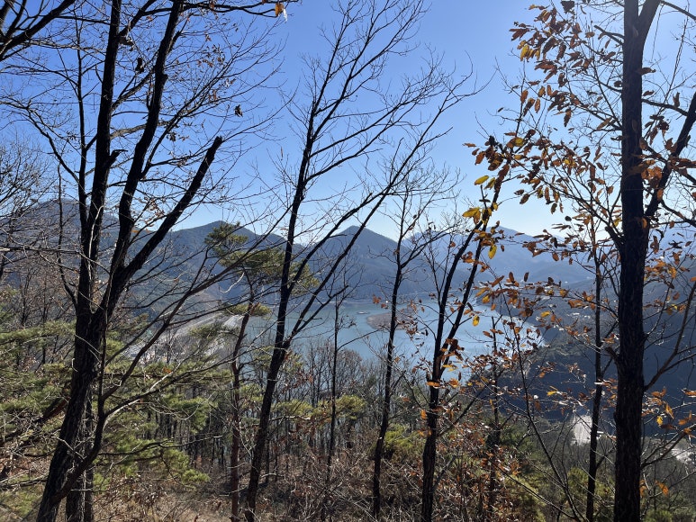 남한강쏘가리올갱이 이미지