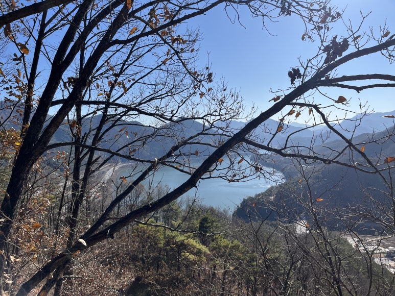 남한강쏘가리올갱이 이미지