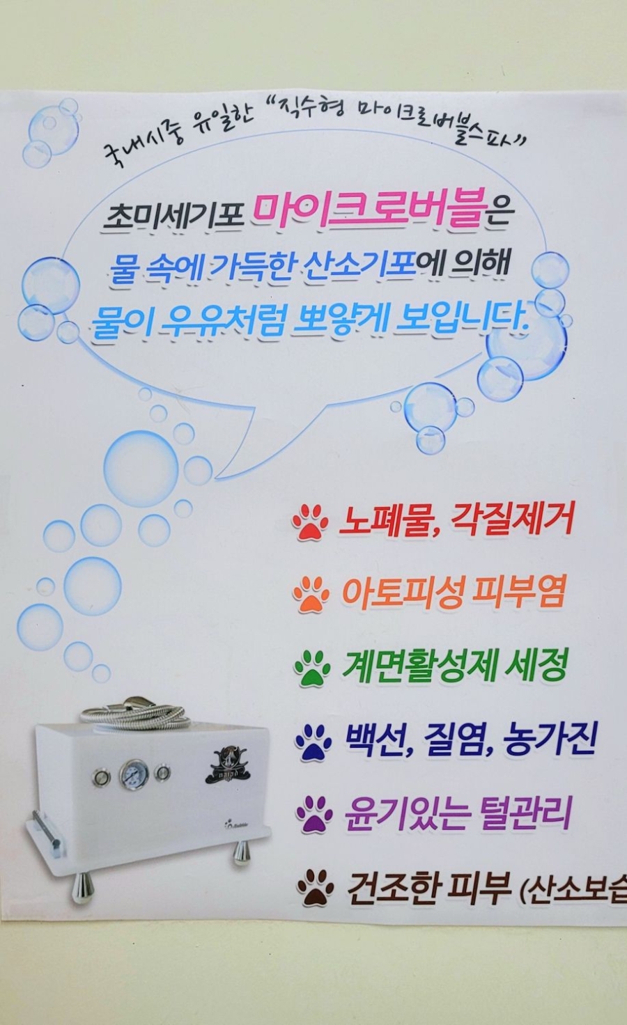 강남 고양이 미용: 맞춤 스파와 프리미엄 케어 전문점 — 사진 3