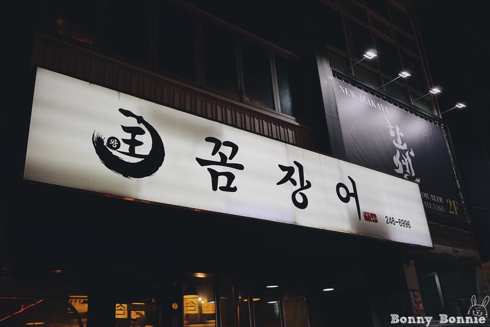 왕꼼장어 사진 5