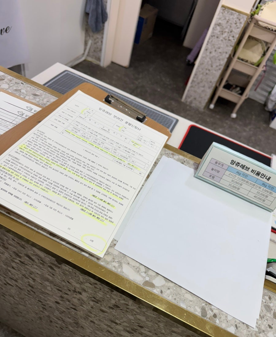 부천 앙쥬레브 애견호텔&유치원: 가격 및 시설 후기 — 사진 16