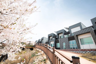 소백산자연휴양림 이미지