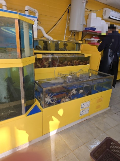 직거래수산 사진 7