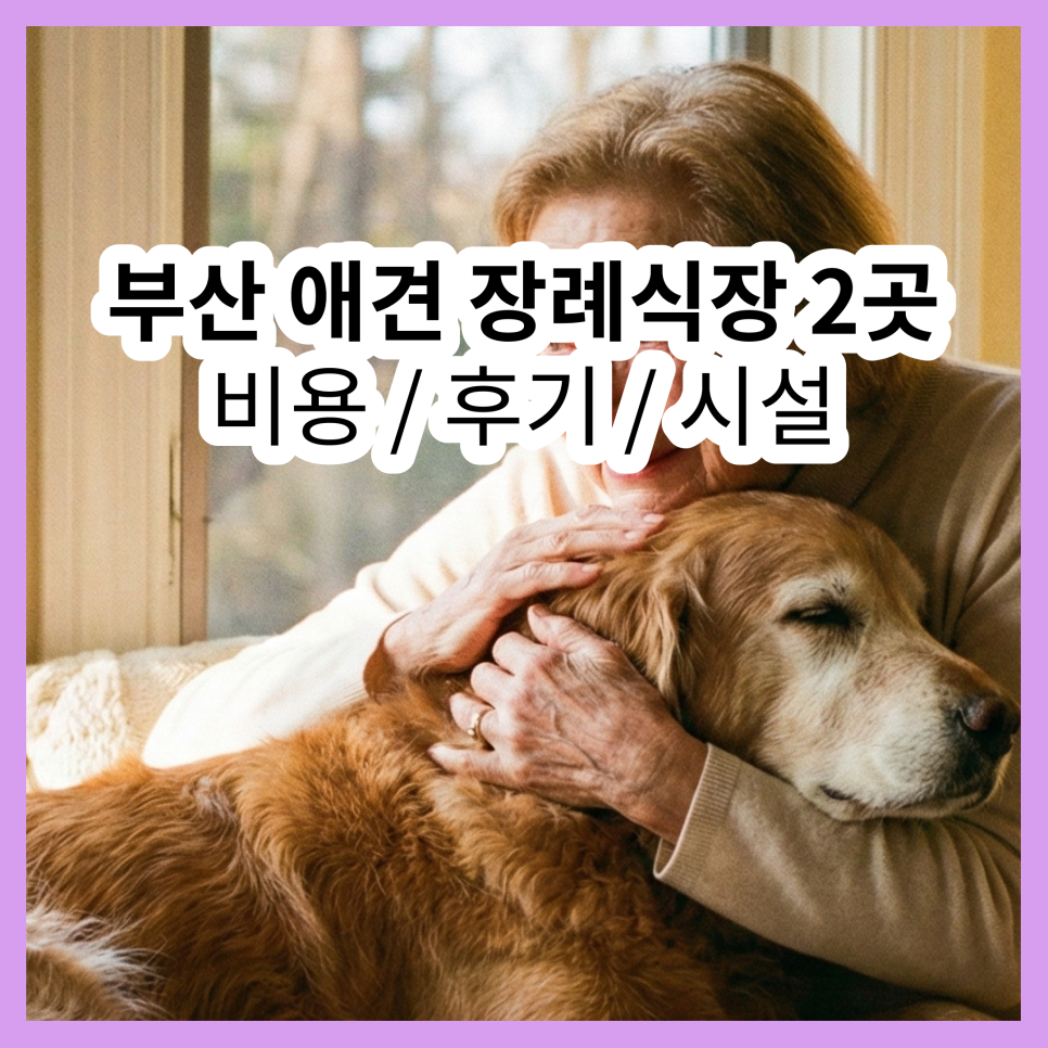 부산 강아지 장례식장 비교: 비용, 절차, 후기