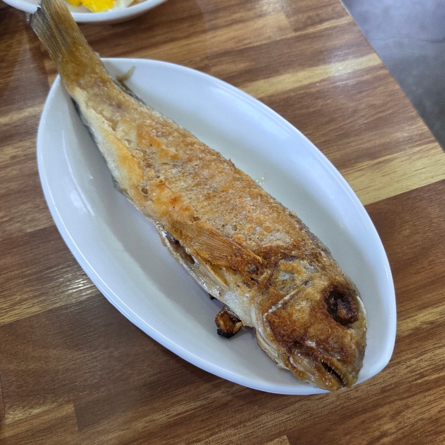 중문뽁순이네 사진 8